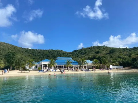 a group of people swimming in a body of water