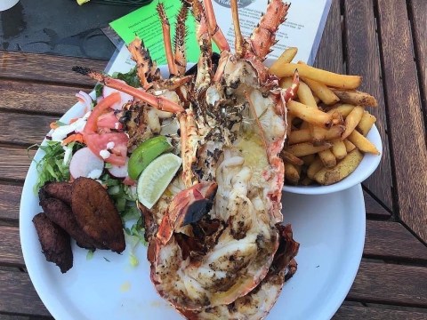 a plate of food on a table