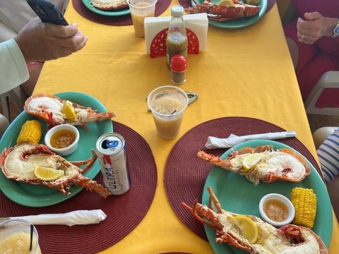 a group of people sitting at a table with a plate of food