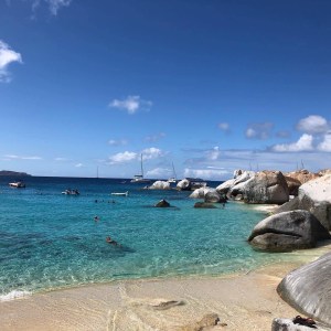 a bird sitting on top of a sandy beach next to the ocean