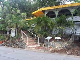 a group of palm trees on the side of a building