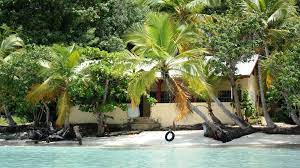 a group of palm trees next to a body of water