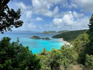 a large body of water surrounded by trees
