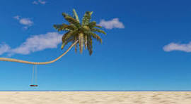 a group of palm trees on a beach